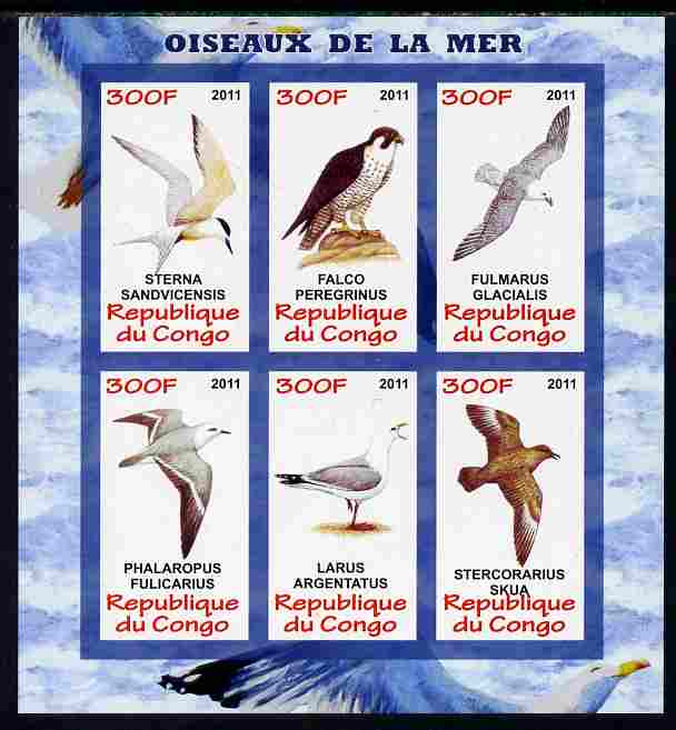 Congo 2011 Sea Birds imperf sheetlet containing 6 values unmounted mint, stamps on , stamps on  stamps on birds, stamps on  stamps on birds of prey, stamps on  stamps on gulls