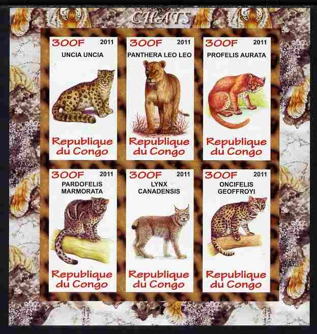 Congo 2011 Wild Cats imperf sheetlet containing 6 values unmounted mint, stamps on , stamps on  stamps on cats, stamps on  stamps on panthers, stamps on  stamps on leopards