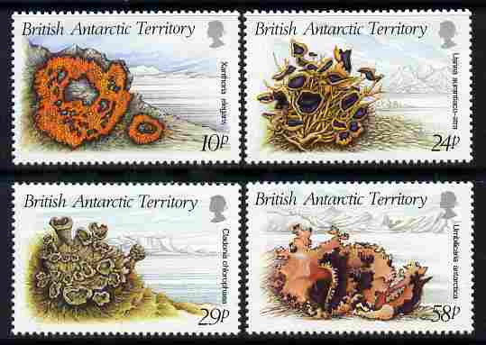 British Antarctic Territory 1989 Litchens perf set of 4 unmounted mint SG 167-70, stamps on , stamps on  stamps on plants, stamps on  stamps on polar