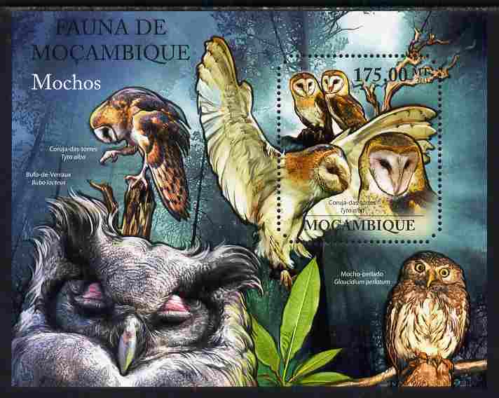 Mozambique 2011 Owls perf m/sheet containing octagonal shaped value unmounted mint, stamps on , stamps on  stamps on shaped, stamps on  stamps on birds, stamps on  stamps on birds of prey, stamps on  stamps on owls