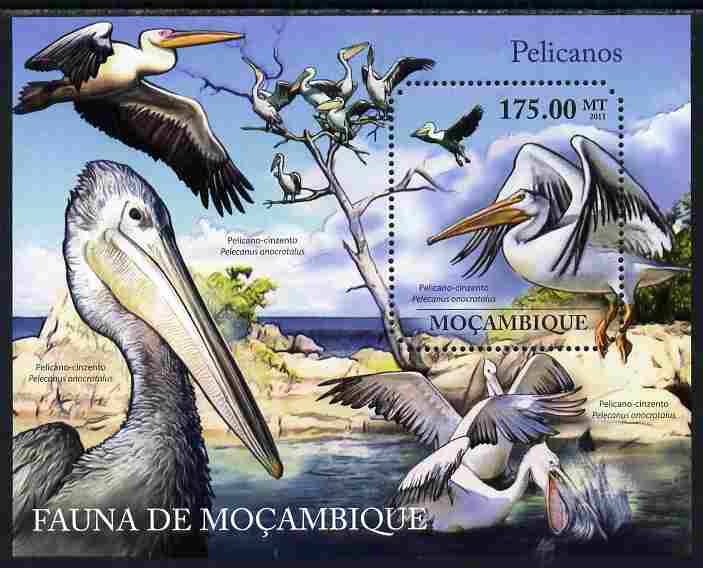 Mozambique 2011 Pelicans perf m/sheet containing octagonal shaped value unmounted mint, stamps on , stamps on  stamps on shaped, stamps on  stamps on birds, stamps on  stamps on pelicans