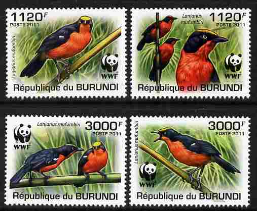 Burundi 2011 WWF - Papyrus Gonolek perf set of 4 values unmounted mint , stamps on birds, stamps on  wwf , stamps on 
