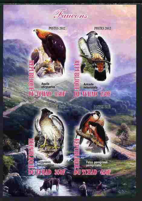 Chad 2012 Falcons imperf sheetlet containing 4 values unmounted mint, stamps on , stamps on  stamps on birds, stamps on  stamps on birds of prey, stamps on  stamps on falcons