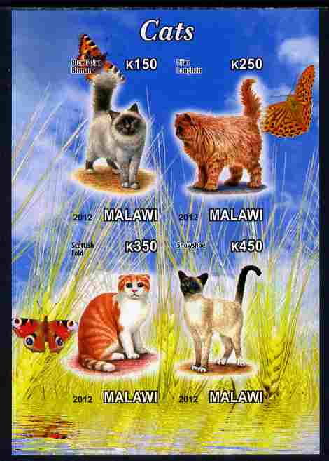 Malawi 2012 Domestic Cats imperf sheetlet containing 4 values unmounted mint, stamps on cats