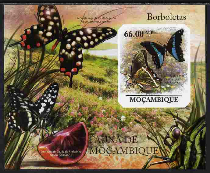 Mozambique 2011 Butterflies #5 imperf m/sheet unmounted mint. Note this item is privately produced and is offered purely on its thematic appeal , stamps on , stamps on  stamps on butterflies