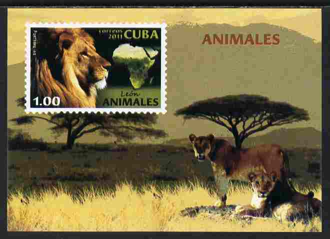 Cuba 2011 Animals #2 perf m/sheet unmounted mint , stamps on , stamps on  stamps on animals, stamps on  stamps on lions, stamps on  stamps on cats