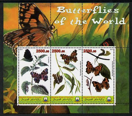 Maakhir State of Somalia 2011 Butterflies of the World #6 perf sheetlet containing 3 values unmounted mint, stamps on , stamps on  stamps on butterflies, stamps on  stamps on 