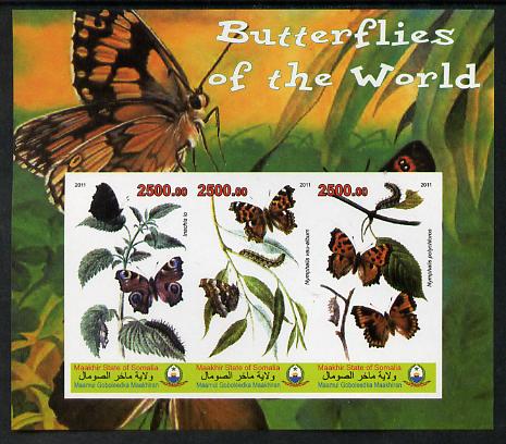 Maakhir State of Somalia 2011 Butterflies of the World #6 imperf sheetlet containing 3 values unmounted mint, stamps on , stamps on  stamps on butterflies, stamps on  stamps on 