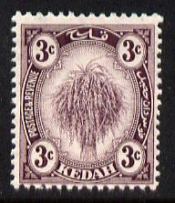 Malaya - Kedah 1919-21 Sheaf of Rice 3c deep purple MCA unmounted mint SG19, stamps on , stamps on  stamps on rice, stamps on  stamps on agriculture, stamps on  stamps on food