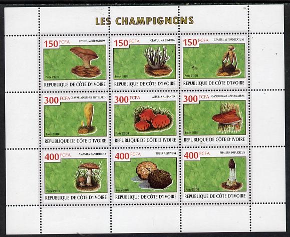 Ivory Coast 2009 Mushrooms perf sheetlet containing 9 values unmounted mint, stamps on , stamps on  stamps on fungi
