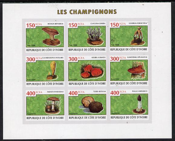 Ivory Coast 2009 Mushrooms imperf sheetlet containing 9 values unmounted mint, stamps on , stamps on  stamps on fungi