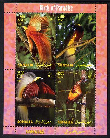 Somalia 2004 Birds of Paradise perf sheetlet containing 4 values unmounted mint. Note this item is privately produced and is offered purely on its thematic appeal, it has no postal validity, stamps on , stamps on  stamps on birds, stamps on  stamps on birds of paradise