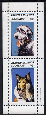 Bernera 1981 Dogs (Irish Wolfhound & Collie) perf  set of 2 values (40p & 60p) unmounted mint, stamps on , stamps on  stamps on animals    dogs     wolfhound    collie