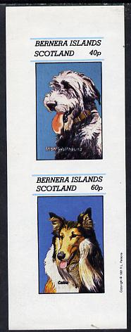 Bernera 1981 Dogs (Irish Wolfhound & Collie) imperf  set of 2 values (40p & 60p) unmounted mint, stamps on , stamps on  stamps on animals    dogs     wolfhound    collie  