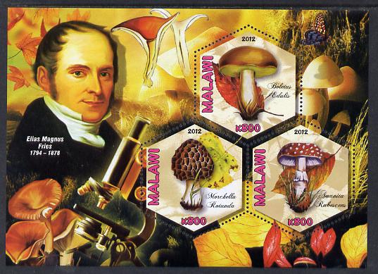 Malawi 2012 Fungi & Mycologists - Elias Magnus perf sheetlet containing 3 hexagonal shaped values unmounted mint , stamps on personalities, stamps on fungi, stamps on hexagonal, stamps on shaped, stamps on microscopes