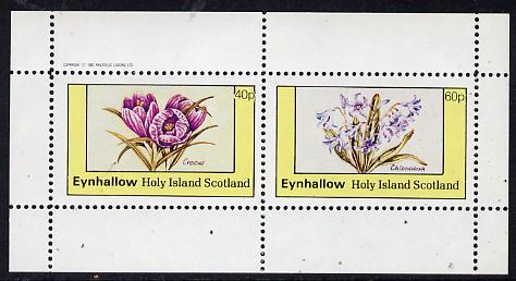 Eynhallow 1982 Flowers #06 (Crocus & Chionodoxa) perf  set of 2 values (40p & 60p) unmounted mint, stamps on , stamps on  stamps on flowers