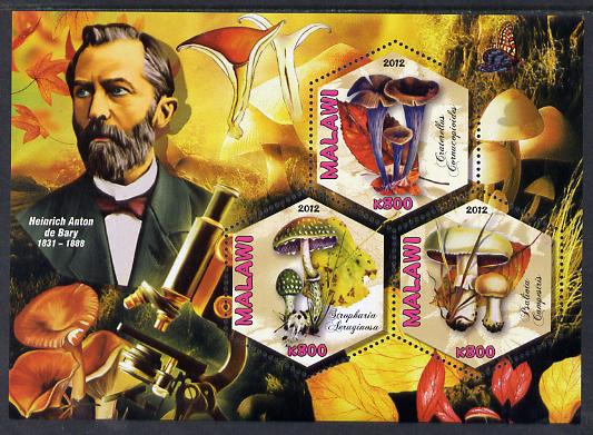 Malawi 2012 Fungi & Mycologists - Heinrich Anton de Bary perf sheetlet containing 3 hexagonal shaped values unmounted mint , stamps on personalities, stamps on fungi, stamps on hexagonal, stamps on shaped, stamps on microscopes