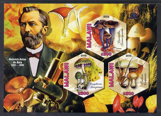 Malawi 2012 Fungi & Mycologists - Heinrich Anton de Bary imperf sheetlet containing 3 hexagonal shaped values unmounted mint , stamps on personalities, stamps on fungi, stamps on hexagonal, stamps on shaped, stamps on microscopes
