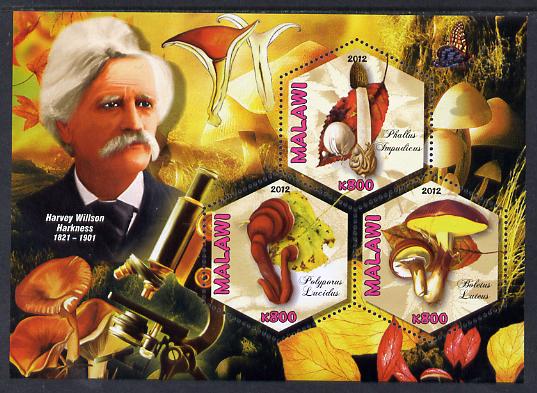 Malawi 2012 Fungi & Mycologists - Harvey Willson Harkness perf sheetlet containing 3 hexagonal shaped values unmounted mint , stamps on personalities, stamps on fungi, stamps on hexagonal, stamps on shaped, stamps on microscopes