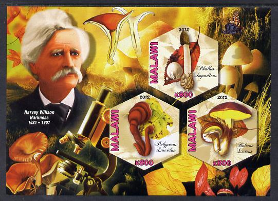 Malawi 2012 Fungi & Mycologists - Harvey Willson Harkness imperf sheetlet containing 3 hexagonal shaped values unmounted mint , stamps on personalities, stamps on fungi, stamps on hexagonal, stamps on shaped, stamps on microscopes