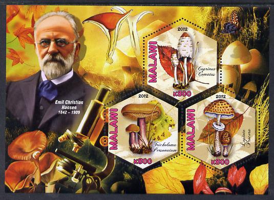 Malawi 2012 Fungi & Mycologists - Emil Christian Hansen perf sheetlet containing 3 hexagonal shaped values unmounted mint , stamps on personalities, stamps on fungi, stamps on hexagonal, stamps on shaped, stamps on microscopes
