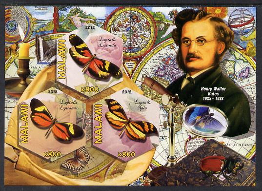 Malawi 2012 Butterflies & Entomologists - Henry Walter Bates imperf sheetlet containing 3 hexagonal shaped values unmounted mint , stamps on personalities, stamps on butterflies, stamps on hexagonal, stamps on shaped, stamps on telescopes, stamps on explorers
