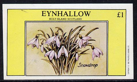 Eynhallow 1982 Flowers #06 (Snowdrop) imperf souvenir sheet (£1 value) unmounted mint, stamps on flowers