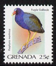 Grenada 2000 Birds 25c Purple Gallinule unmounted mint, SG 4282, stamps on , stamps on  stamps on birds