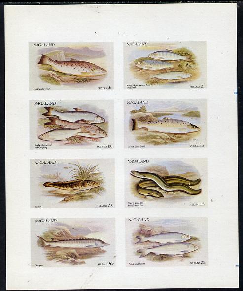 Nagaland 1972 Fish (Trout, Salmon, Sturgeon, Eels, etc) imperf  set of 8 values unmounted mint (2ch to 50ch) , stamps on , stamps on  stamps on fish     marine-life