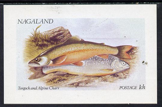 Nagaland 1972 Fish (Torgoch & Char) imperf souvenir sheet (1ch value) unmounted mint, stamps on , stamps on  stamps on fish     marine-life