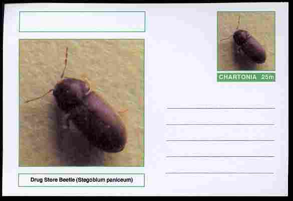 Chartonia (Fantasy) Insects - Drug Store Beetle (Stegobium paniceum) postal stationery card unused and fine, stamps on insects, stamps on beetles