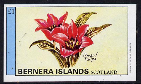 Bernera 1982 Flowers #03 (Dwarf Tulips) imperf souvenir sheet (£1 value) unmounted mint, stamps on flowers