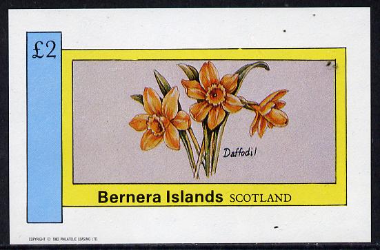 Bernera 1982 Flowers #03 (Daffodil) imperf deluxe sheet (£2 value) unmounted mint, stamps on flowers