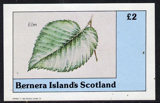 Bernera 1982 Tree Leaves (Elm) imperf deluxe sheet (£2 value) unmounted mint, stamps on trees