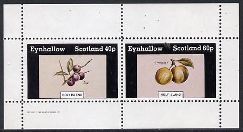 Eynhallow 1982 Fruit (Sloe & Greengage) perf  set of 2 values (40p & 60p) unmounted mint, stamps on , stamps on  stamps on fruit