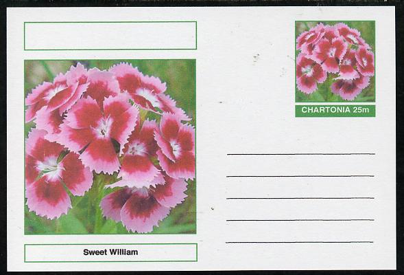 Chartonia (Fantasy) Flowers - Sweet William postal stationery card unused and fine, stamps on , stamps on  stamps on flowers