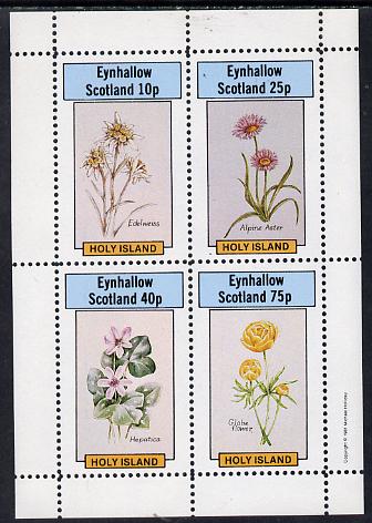 Eynhallow 1981 Flowers #03 (Edelweiss, Alpine Aster, Hepatica & Globe Flower) perf  set of 4 values (10p to 75p) unmounted mint , stamps on flowers