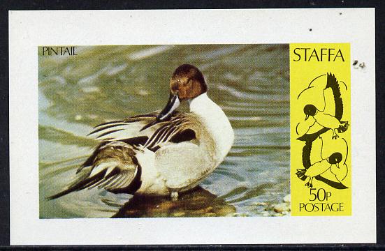 Staffa 1974 Water Birds #01 (Pintail) imperf souvenir sheet (50p value) unmounted mint, stamps on birds, stamps on ducks
