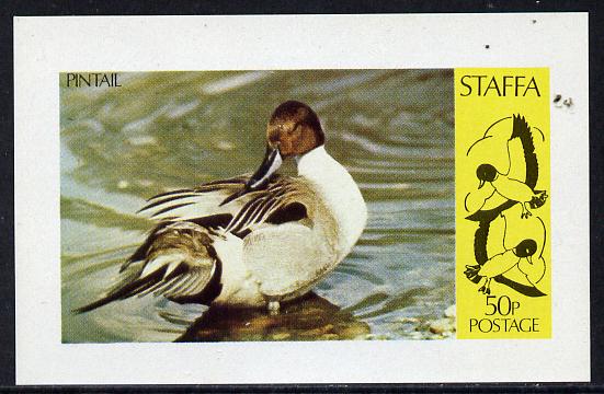 Staffa 1974 Water Birds #01 (Pintail) imperf souvenir sheet (50p value) unmounted mint, stamps on , stamps on  stamps on birds, stamps on  stamps on ducks