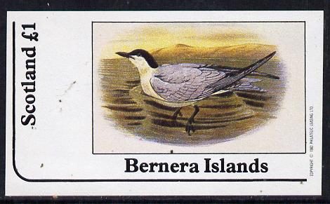 Bernera 1982 Birds #11 (Tern) imperf souvenir sheet (£1 value) unmounted mint, stamps on birds