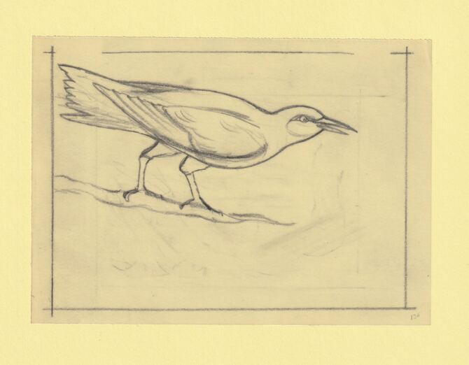 Somalia 1966 Birds Original artwork rough essay on tracing paper probably for the 1966 series image size 140 x 105 mm (96046), stamps on , stamps on  stamps on birds