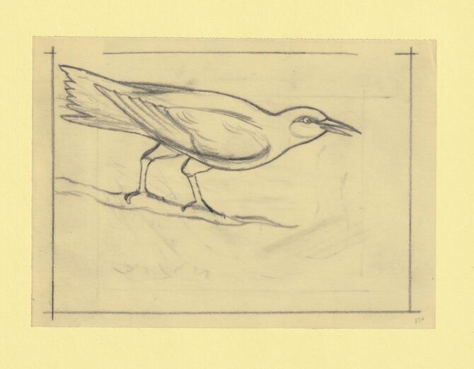 Somalia 1966 Birds Original artwork rough essay on tracing paper probably for the 1966 series image size 140 x 105 mm (96046), stamps on birds