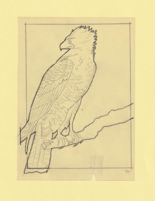 Somalia 1966 Birds Original artwork rough essay on tracing paper probably for the 1966 series image size 105 x 140 mm  (96049), stamps on birds