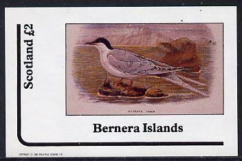 Bernera 1982 Birds #11 (Roseate Tern) imperf deluxe sheet (£2 value) unmounted mint, stamps on birds