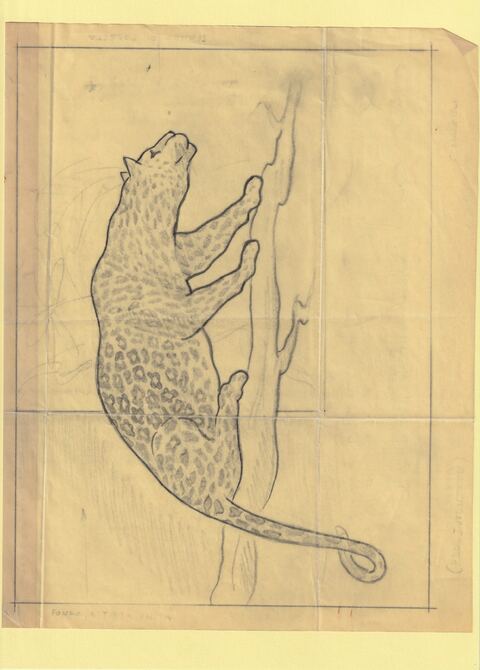 Somalia 1960 Child Welfare Original artwork of Leopard on tracing paper probably by Corrado Mancioli image size 240 x 180 mm , stamps on children, stamps on leopard, stamps on cats