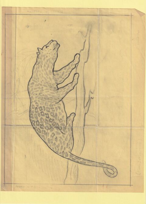 Somalia 1960 Child Welfare Original artwork of Leopard on tracing paper probably by Corrado Mancioli image size 240 x 180 mm , stamps on , stamps on  stamps on children, stamps on  stamps on leopard, stamps on  stamps on cats