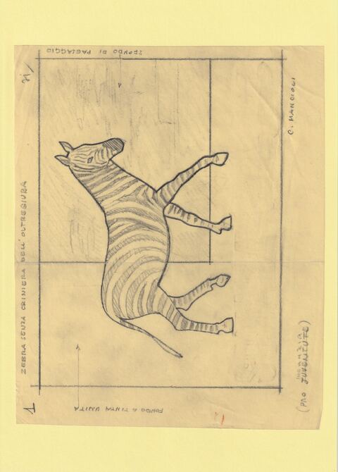 Somalia 1960 Child Welfare Original artwork of Zebra on tracing paper by Corrado Mancioli image size 205 x 150 mm , stamps on , stamps on  stamps on children, stamps on  stamps on animals, stamps on  stamps on zebra