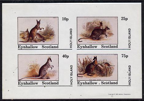 Eynhallow 1981 Wallabys imperf  set of 4 values (10p to 75p) unmounted mint , stamps on animals     kangaroos      wallabys