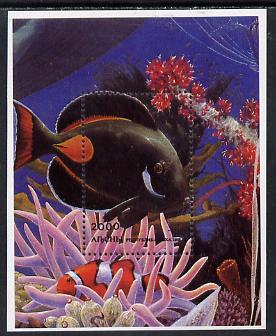 Abkhazia 1996 Marine Life s/sheet (Fish & Coral) unmounted mint, stamps on , stamps on  stamps on marine-life     fish    coral