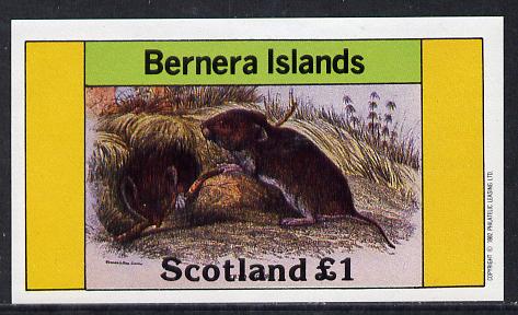 Bernera 1982 Rodents #2 imperf souvenir sheet (£1 value) unmounted mint, stamps on animals     rodents